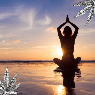 The Case for Cannabis A New Path to Relaxation