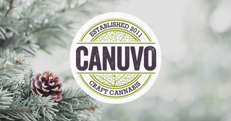 Elevate Your Next Gathering with a Cannabis-Themed Party