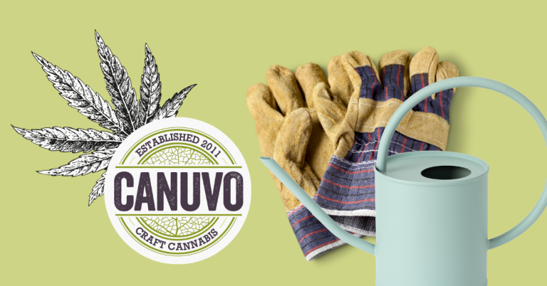 DIY Cannabis A Beginner's Guide to Home Cultivation with Canuvo