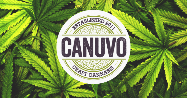 Risks of Synthetic Cannabinoids Complete Exploration