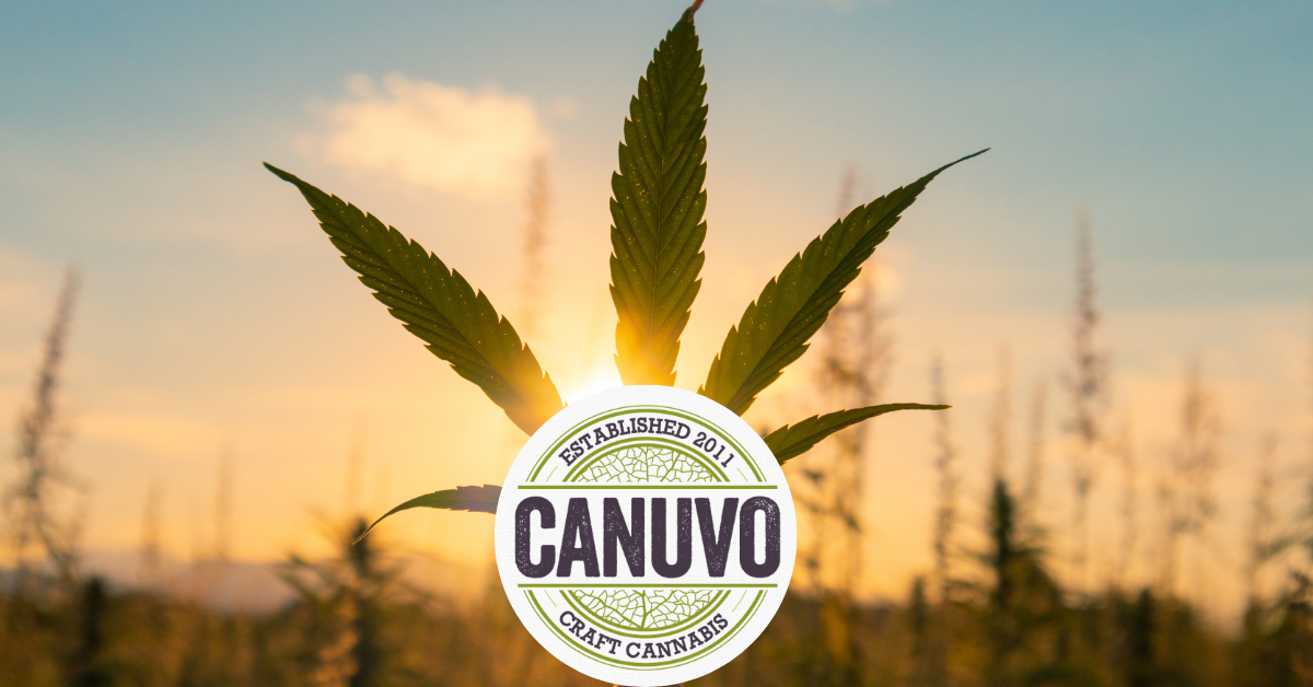 Embrace Summer with Canuvo A Guide to Enhancing Your Season with Cannabis